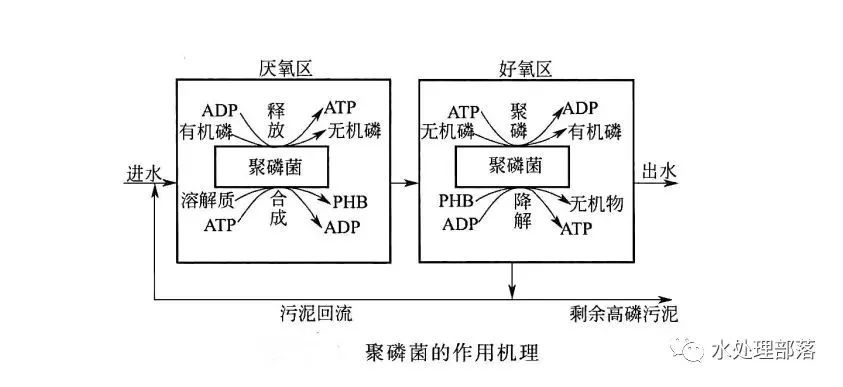 RTO,RTO焚烧炉,蓄热式焚烧炉