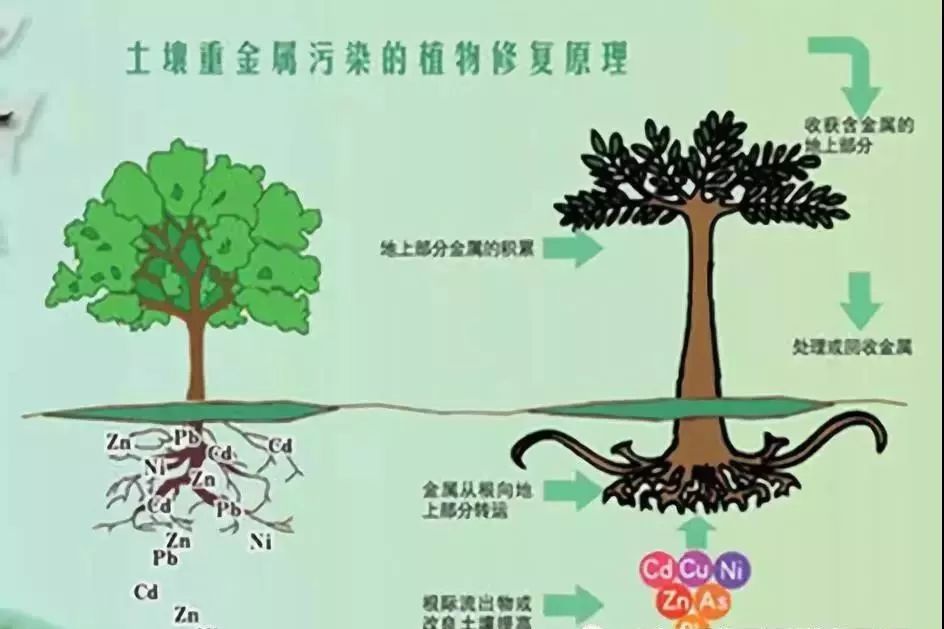 RTO,RTO焚烧炉,蓄热式焚烧炉